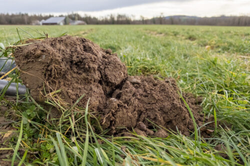 Bildquelle: Regenerative landwirtschaft bodenprobe 06 (commons.wikimedia.org)