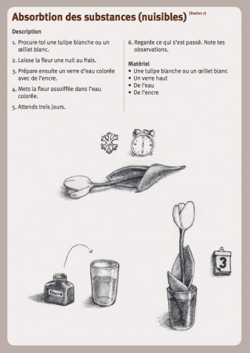 Expérience « absorption des substances (nuisibles) », station 7 du voyage souterrain