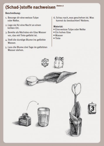 Experiment «(Schad-)stoffe nachweisen» zur Station 7 der Bodenreise